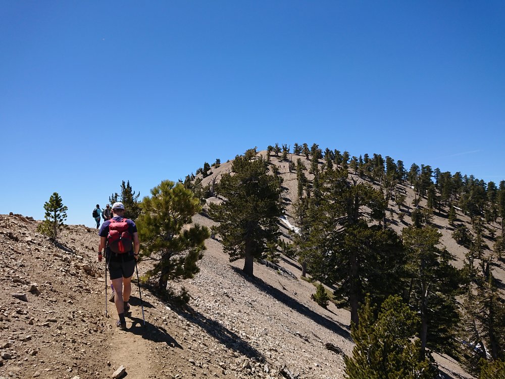 Approaching the summit of Mt. Baden-Powell