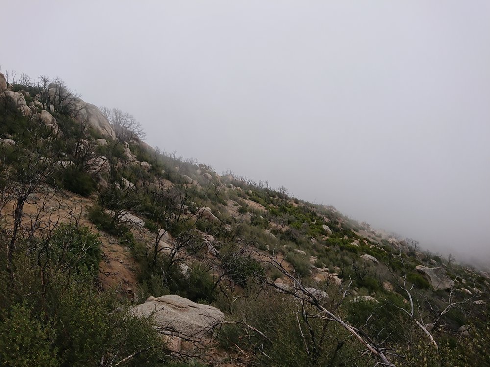 Hiking in the clouds as I was hit with the trails first raindrops.