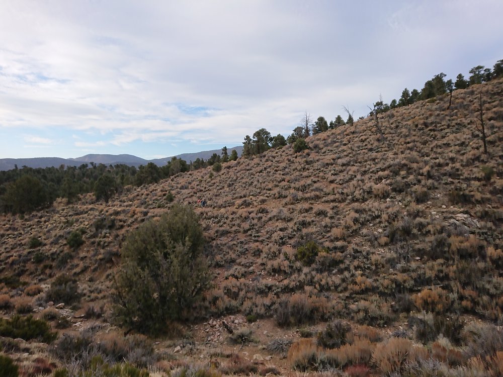 Brandon picked up some balloons on the way.
