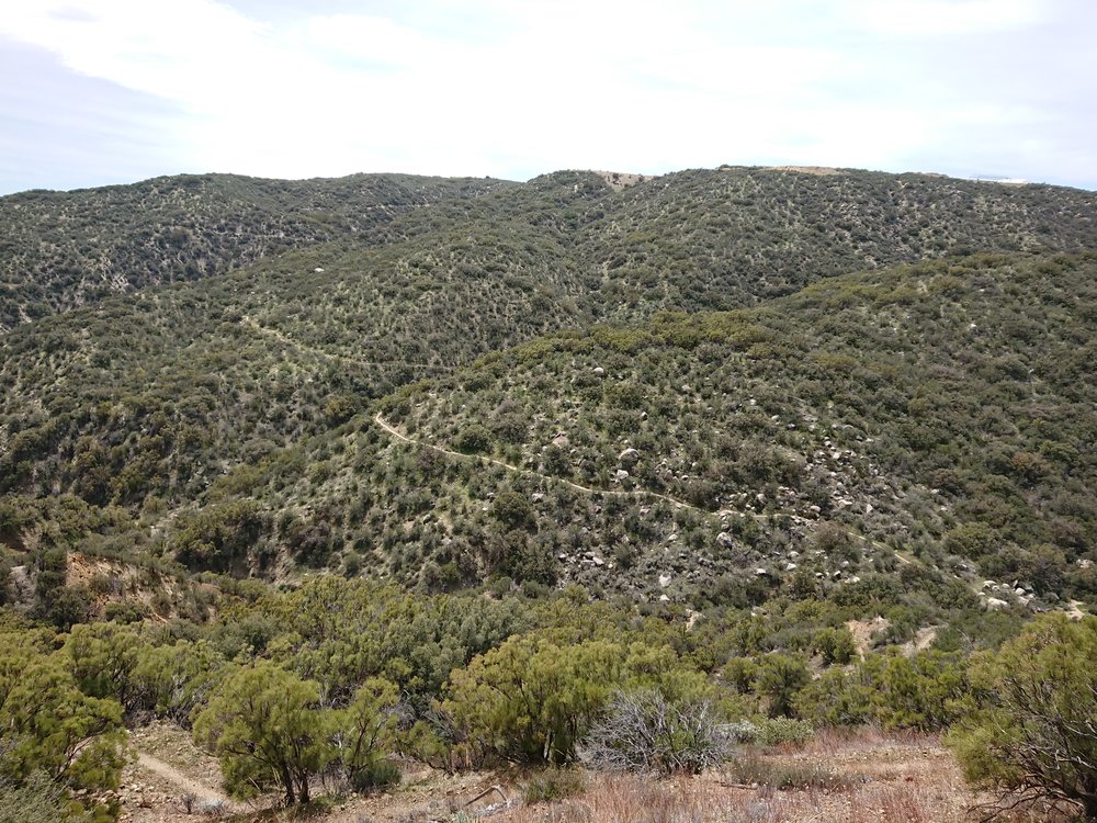 A common sight on the PCT, the trail descends in to a valley before ascending right out the other side.