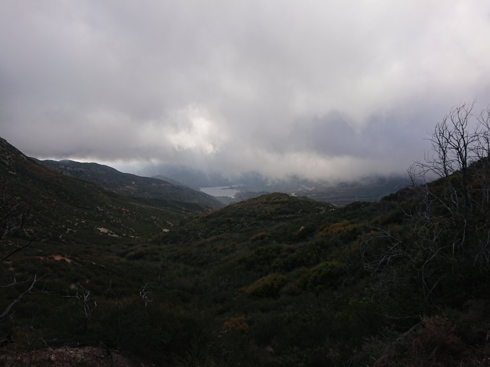 What are those white fluffy things on the sky, clouds in South California?