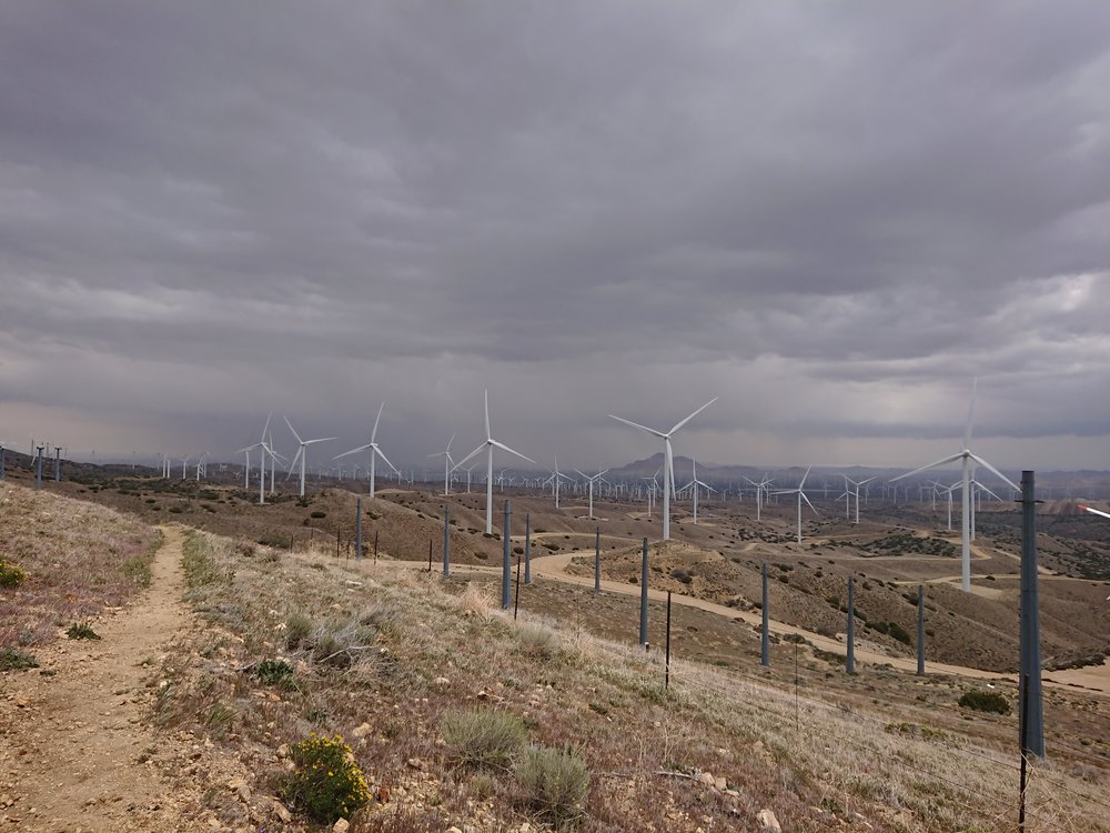 Wind Mills everywhere, they were well placed this day as it was very windy