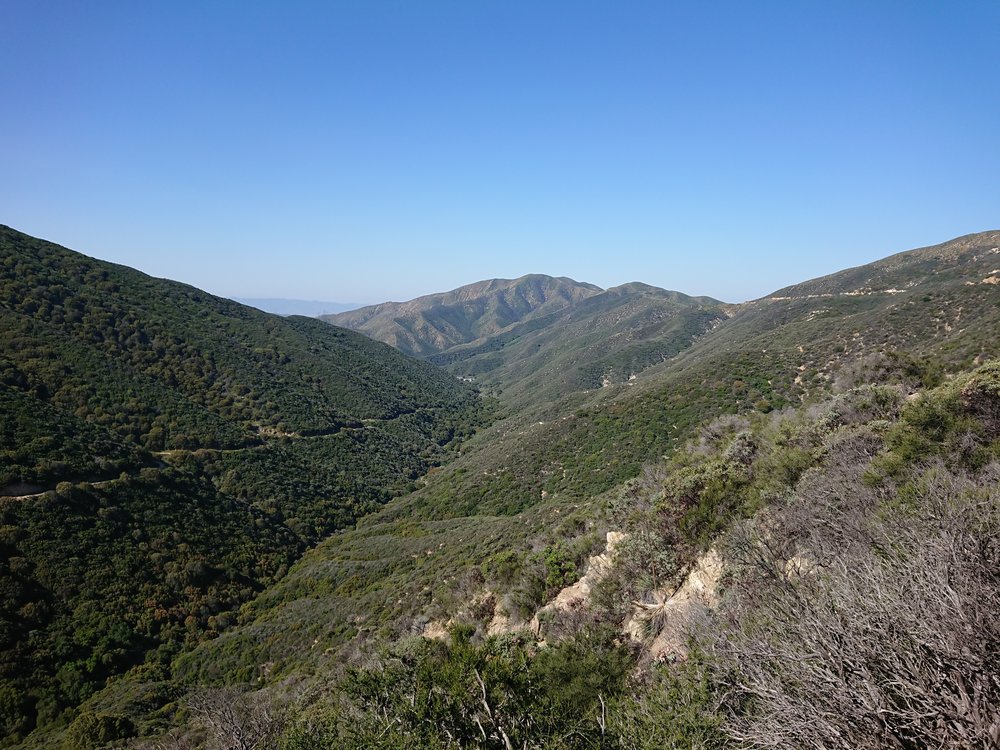 Stilla very green desert