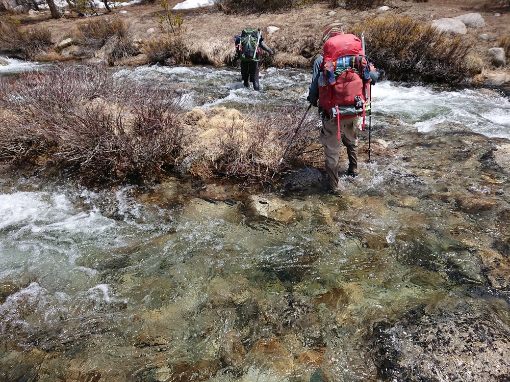 Avocado and Sensei crossing a creek