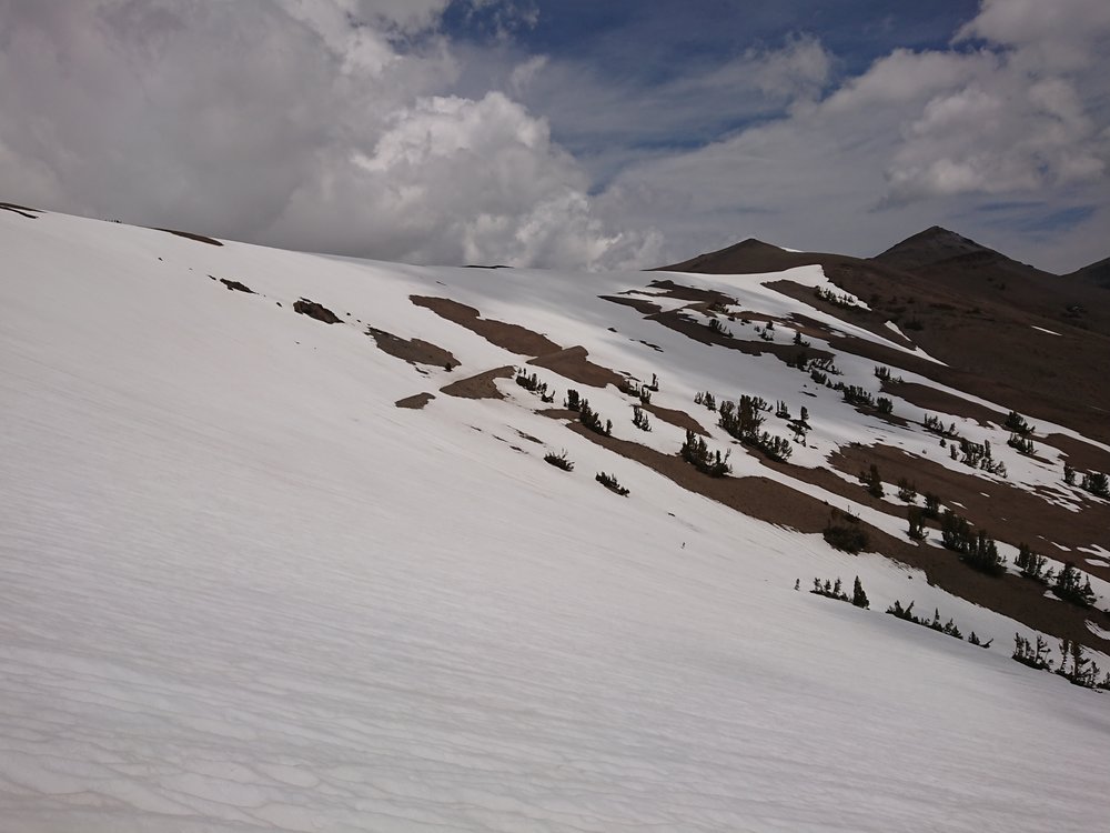  Looking up at the last part of the snow covered climb before Sonora Pass 