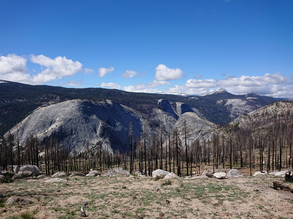 Once we got of the snow the views started to open up a bit more and we could enjoy some of the many impressive mountains