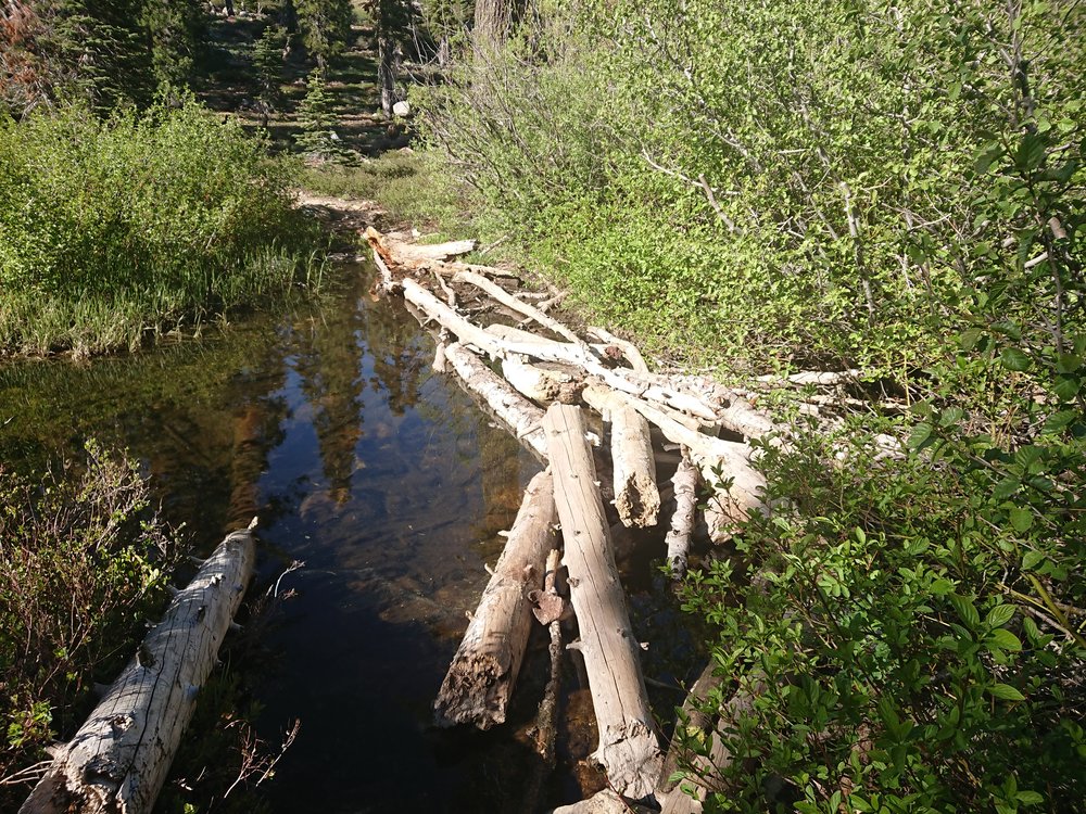 Crossing a stream where I also collected water
