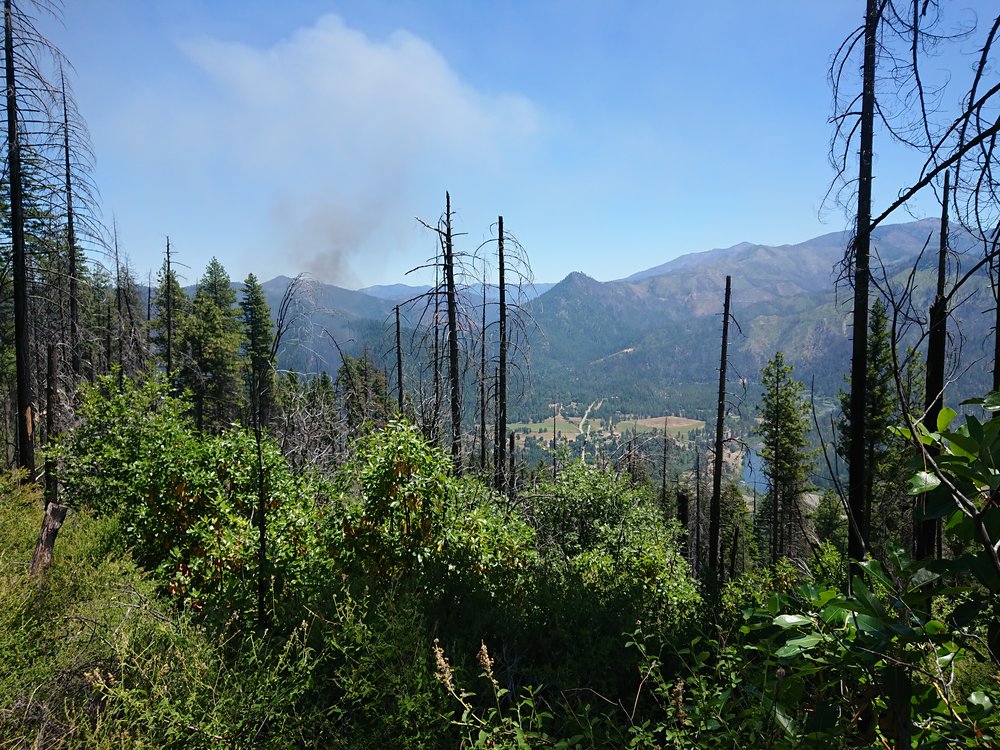 Hmm a fire, that is bad luckily it was quickly put out