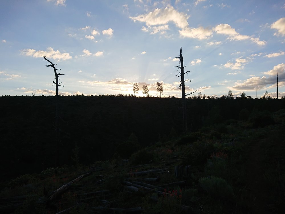 The sun is just about to start shining on me