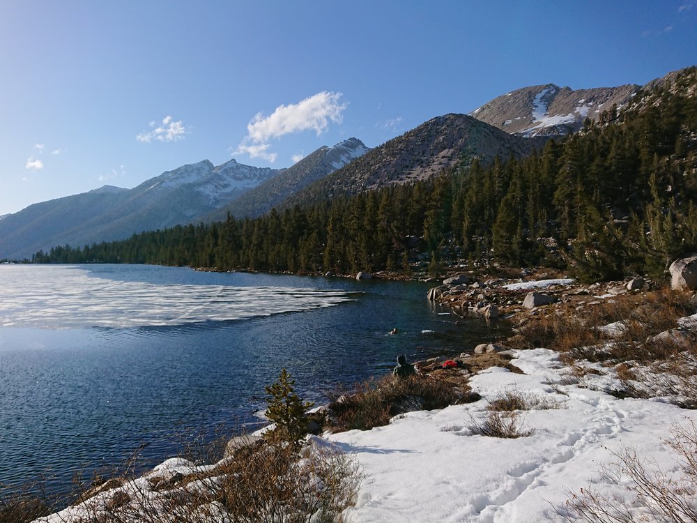 Avocado taking a swim in the cold icy Charlotte Lake