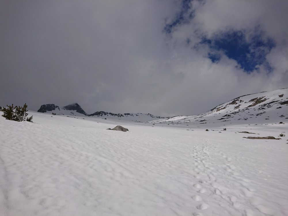 Looking towards Donohue Pass and the post holing footprints