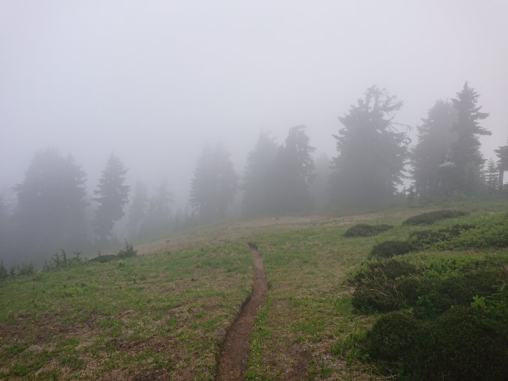 This day was initially very misty/cloudy