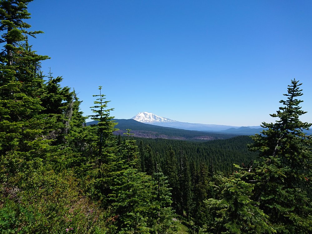 Another good but very brief view