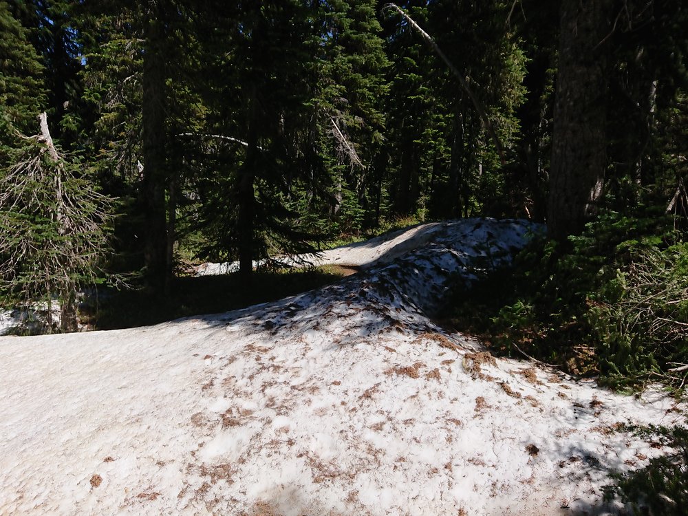 I guess there is snow in Washington as well