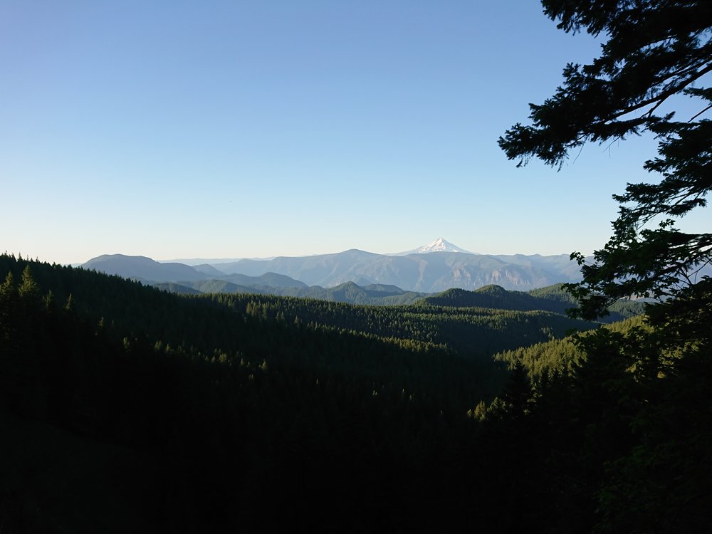 One of the brief views of the day