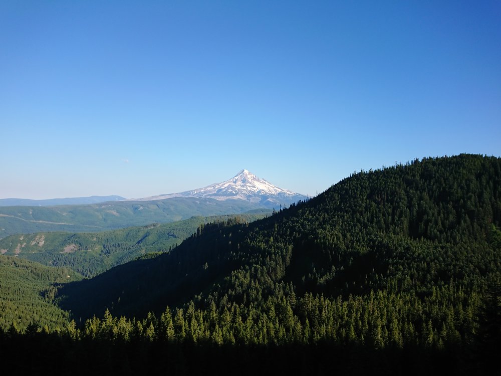 Looking back at Mt Hood later in the day